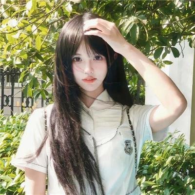 尚迪戈尔的陌生人