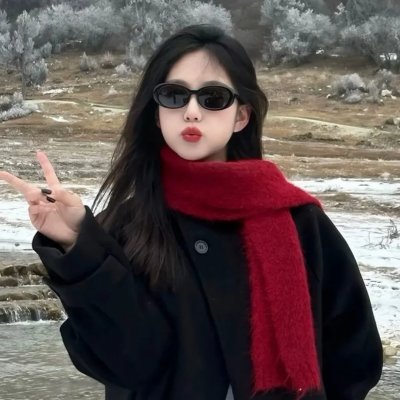 小鸟之翼第二季