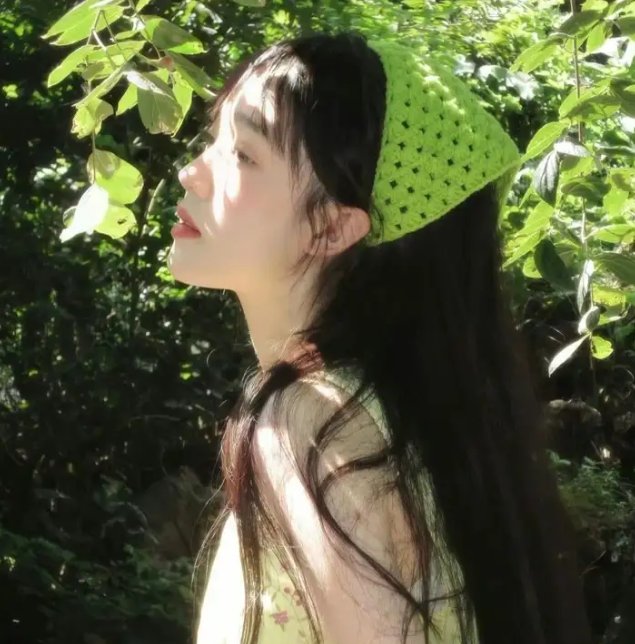案中案